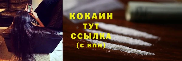 ГАЛЛЮЦИНОГЕННЫЕ ГРИБЫ Баксан