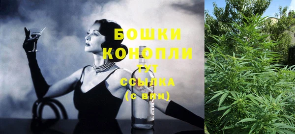 ГАЛЛЮЦИНОГЕННЫЕ ГРИБЫ Баксан