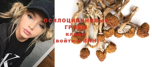 ГАЛЛЮЦИНОГЕННЫЕ ГРИБЫ Баксан